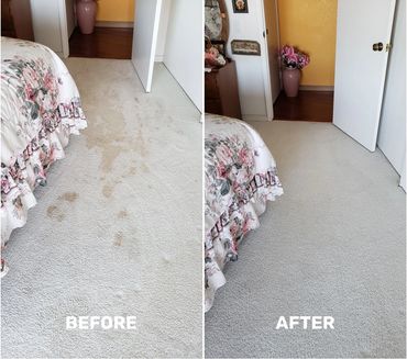 southern california carpet cleaning
