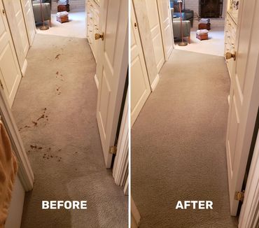 carpet cleaning san diego ca