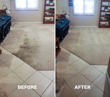 best carpet cleaning san diego
