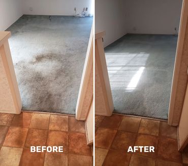 best carpet cleaner san diego