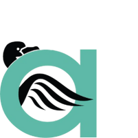 amyvansolutions
computer consulting