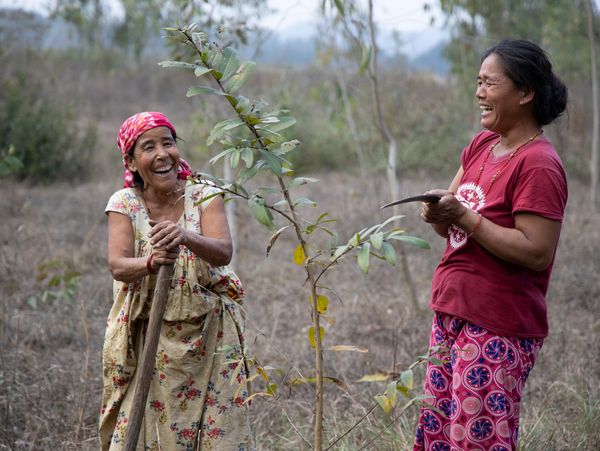 Women forest workers in Madhesh Province, south Nepal