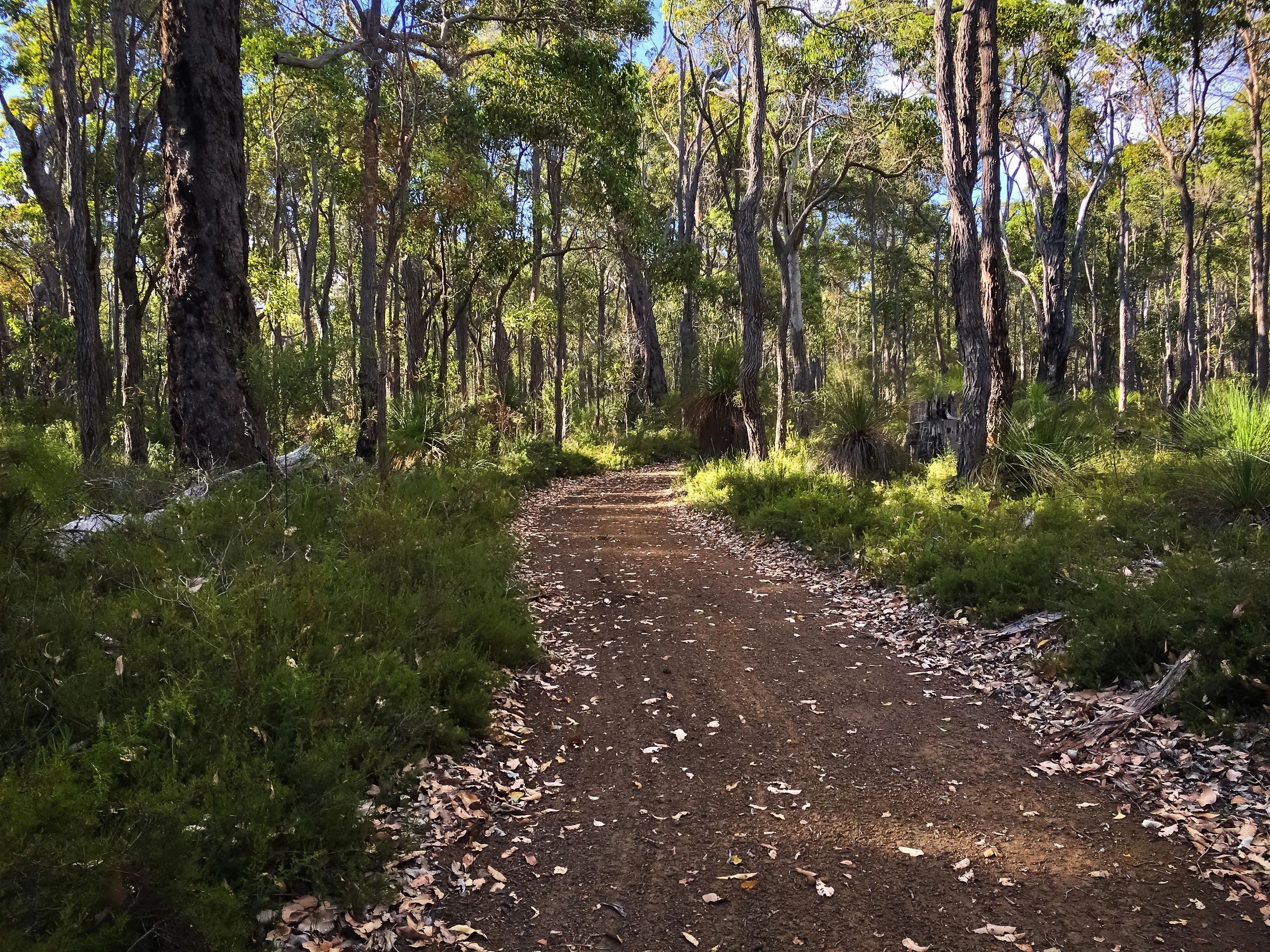 www.rockandrollmountainbiking.com.au