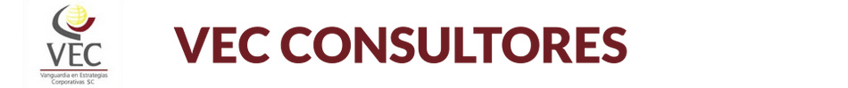VECCONSULTORES