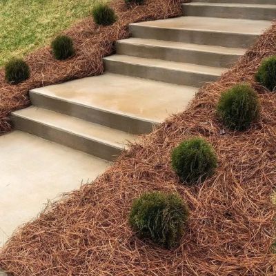Concrete outdoor steps with mulch and shrubs.