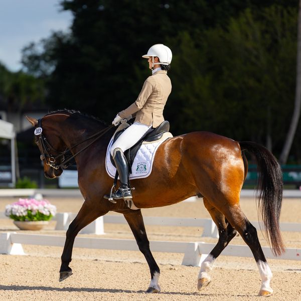 Equestrian rider in competition attire on brown horse.