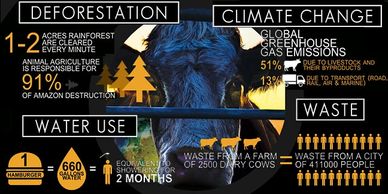 Cowspiracy - Movie Poster