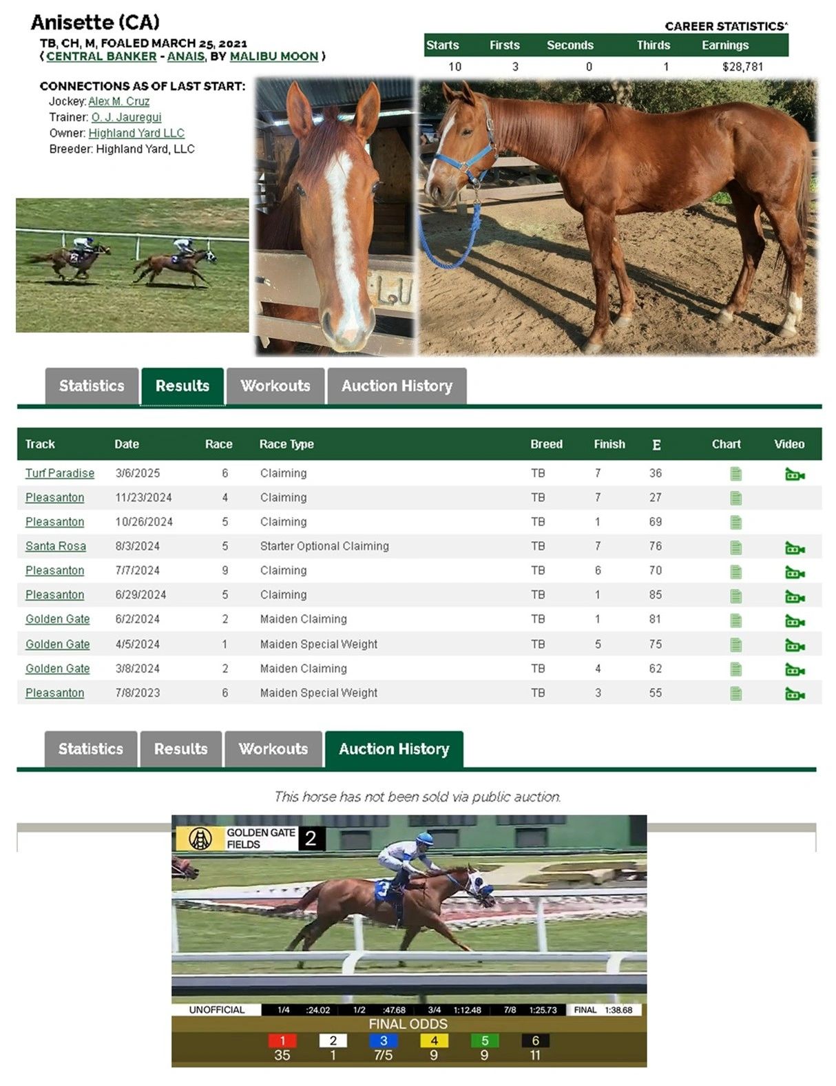 SCRAF Team - "Anisette" Retired Race horse headed to KY for the Thoroughbred Makeover Project