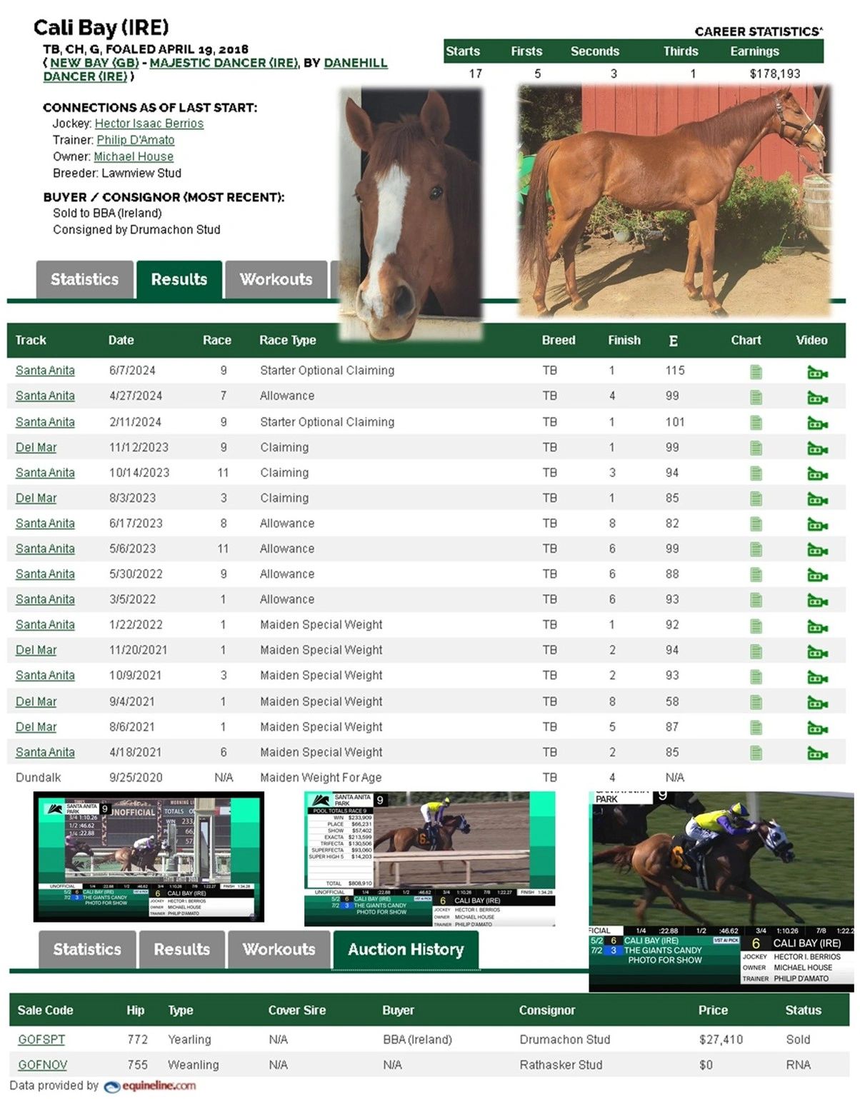 SCRAF Team - "Cali Bay" Retired Race horse headed to KY for the Thoroughbred Makeover Project