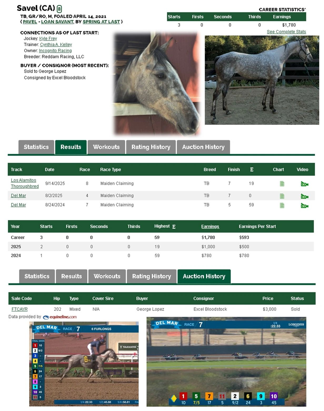 SCRAF Team - "Savel" Retired Race horse headed to KY for the Thoroughbred Makeover Project