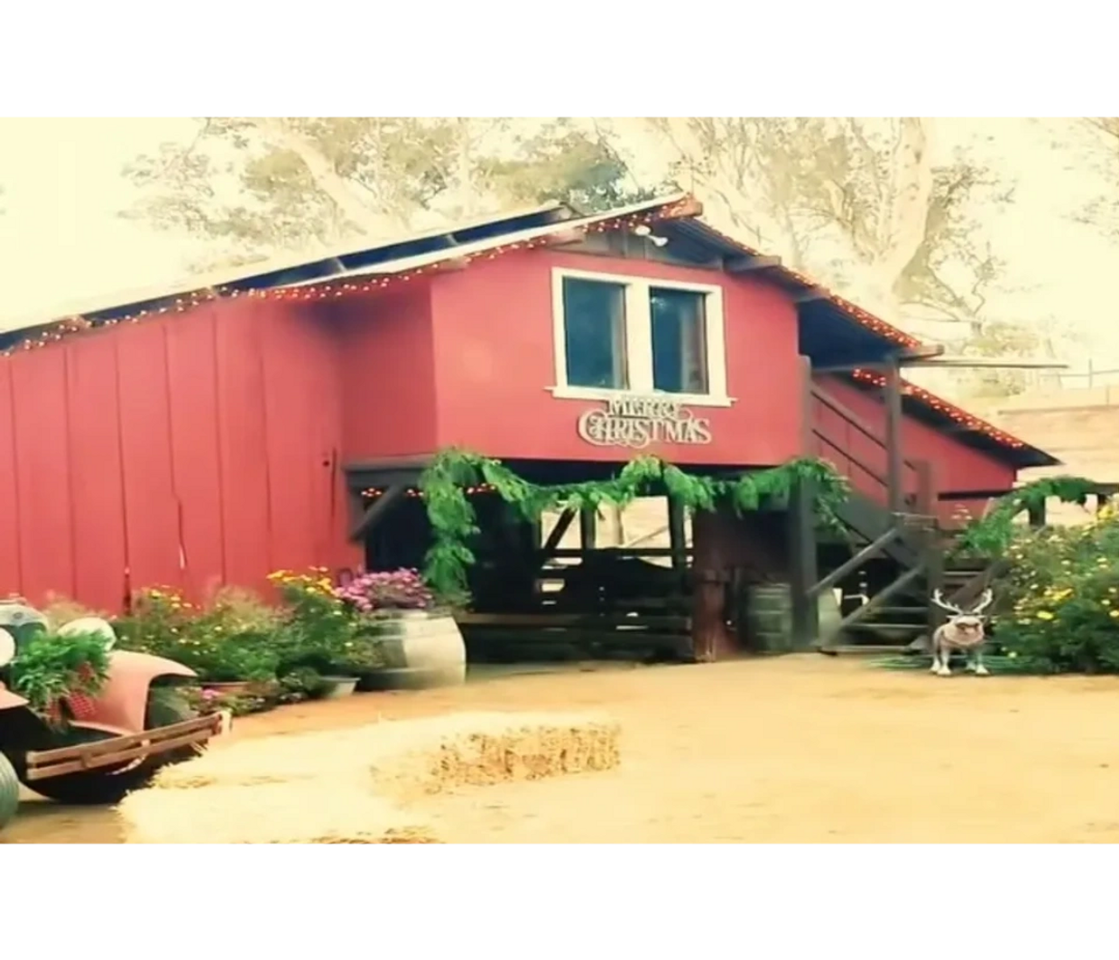 Country Horse Barn decorated for Christmas Holiday season fundraiser for horses, santa for children