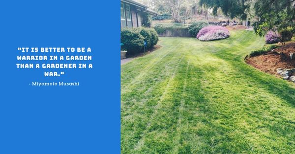 Blue Boy Lawn Care LLC - Professional Lawn Care Provider 