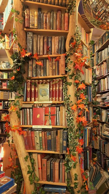 a vintage book shelf with books 