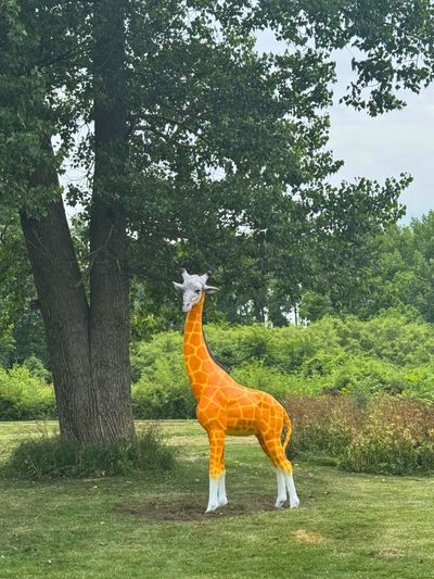 A giraffe statue with a horse's head in a park setting.
