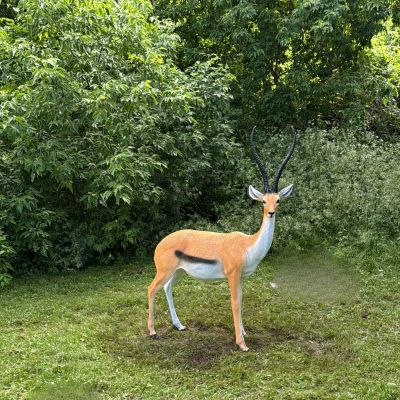 A gazelle standing on grass near bushes.