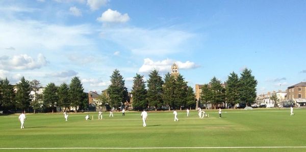 Players engaged in a cricket match on a sunny day.