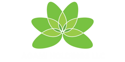 Agami Holdings LLC