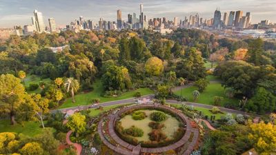 Aerial view of Fawkner Park, South Yarra - window cleaning South Yarra, Melbourne