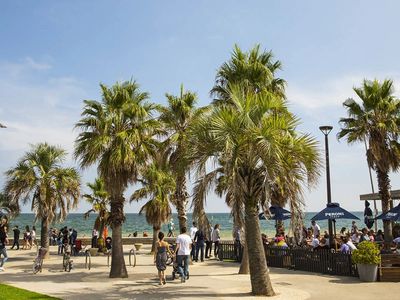 Palm-lined beach promenade, St Kilda - window cleaning St Kilda, Melbourne
