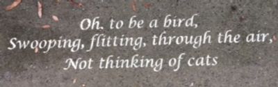 Click this Haiku written by Harriet Goode to hear WRHI interview her on January 17, 2019.