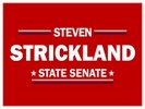 Steven Strickland georgia state senate