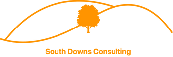 South Downs Consulting