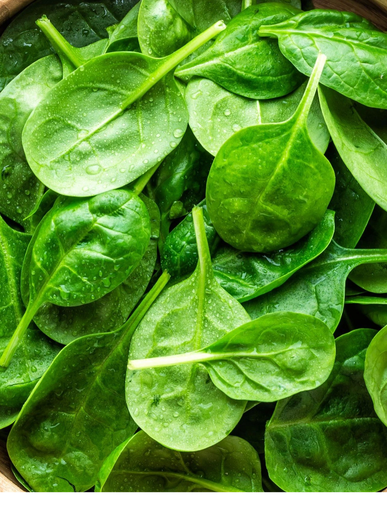 Spinach - it’s a super food and enables a super you!