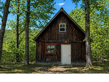 Rustic wooden cabin nestled among tall trees under a clear blue sky.