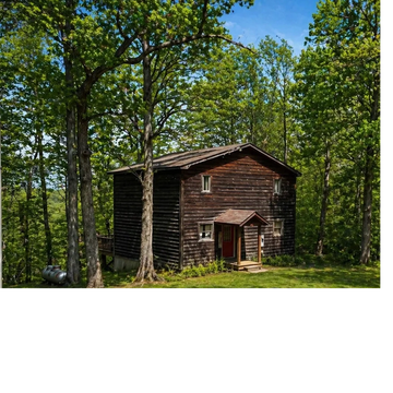A rustic wooden cabin surrounded by tall green trees on a sunny day.