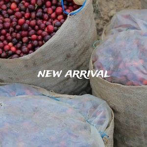 Rwanda Milles Collines Peaberry