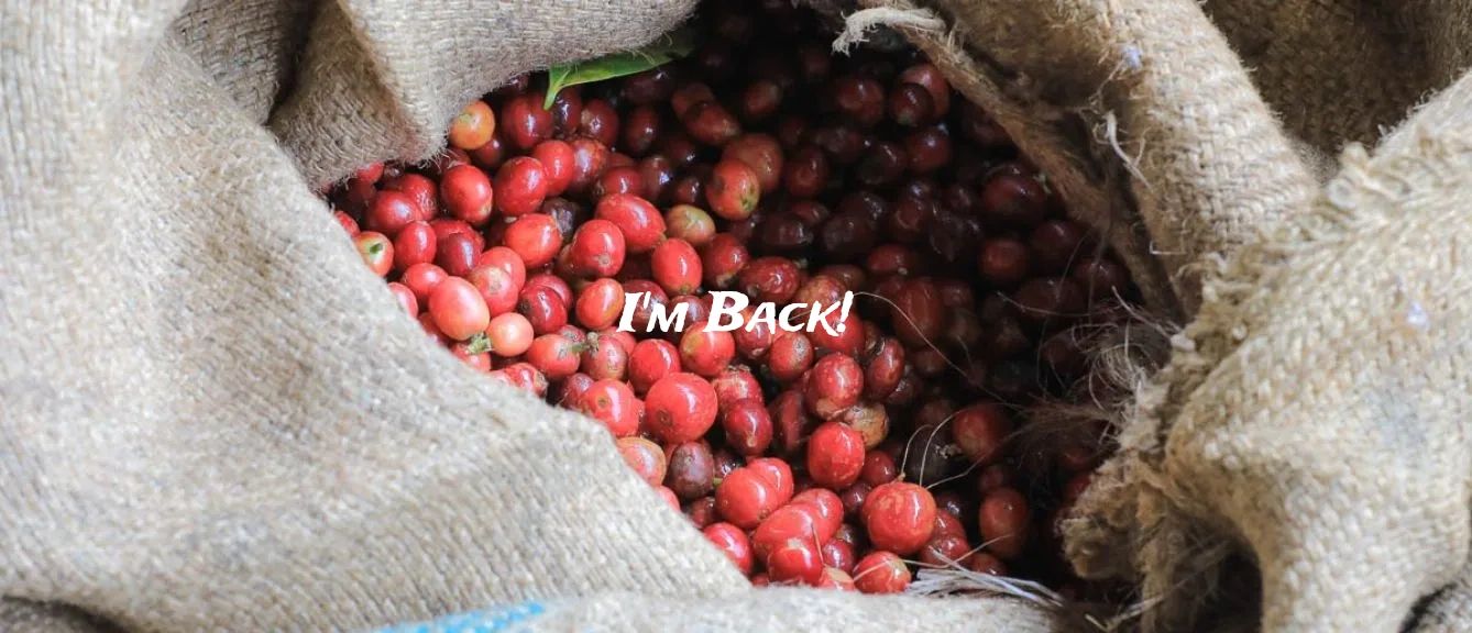 Kenya Kiambu Spike AB