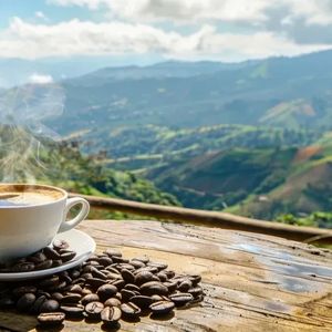 Bolivia Caranavi Aramayo Peaberry