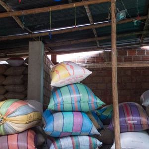 Colombia San Antonio EA Decaf