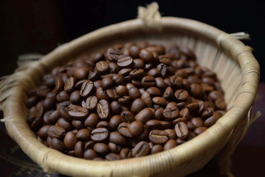 Ethiopia Uraga Haro