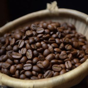 Ethiopia Uraga Haro