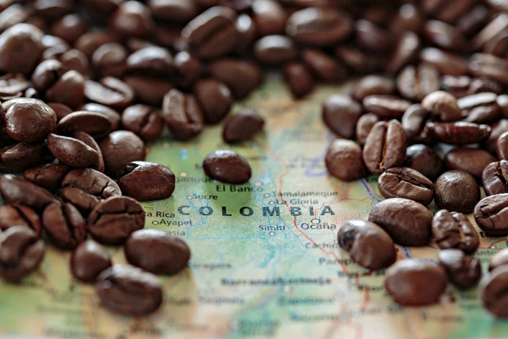 Colombia Productores de Pitalito