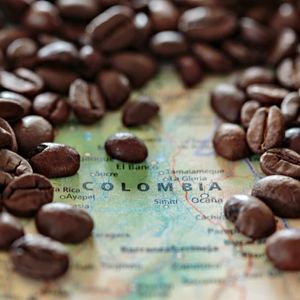 Colombia Productores de Pitalito