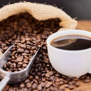 Costa Rica Tarrazu Cafetales de Dota