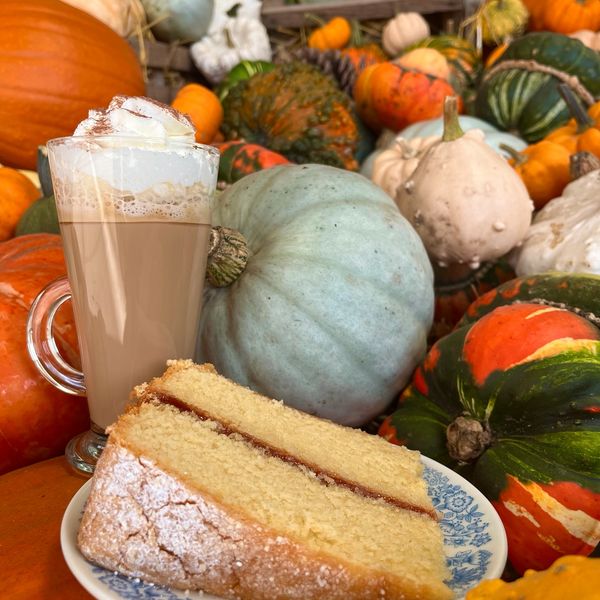 Cake slice and coffee with whipped cream among pumpkins.