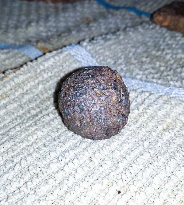Musketball Mt Laurel, NJ