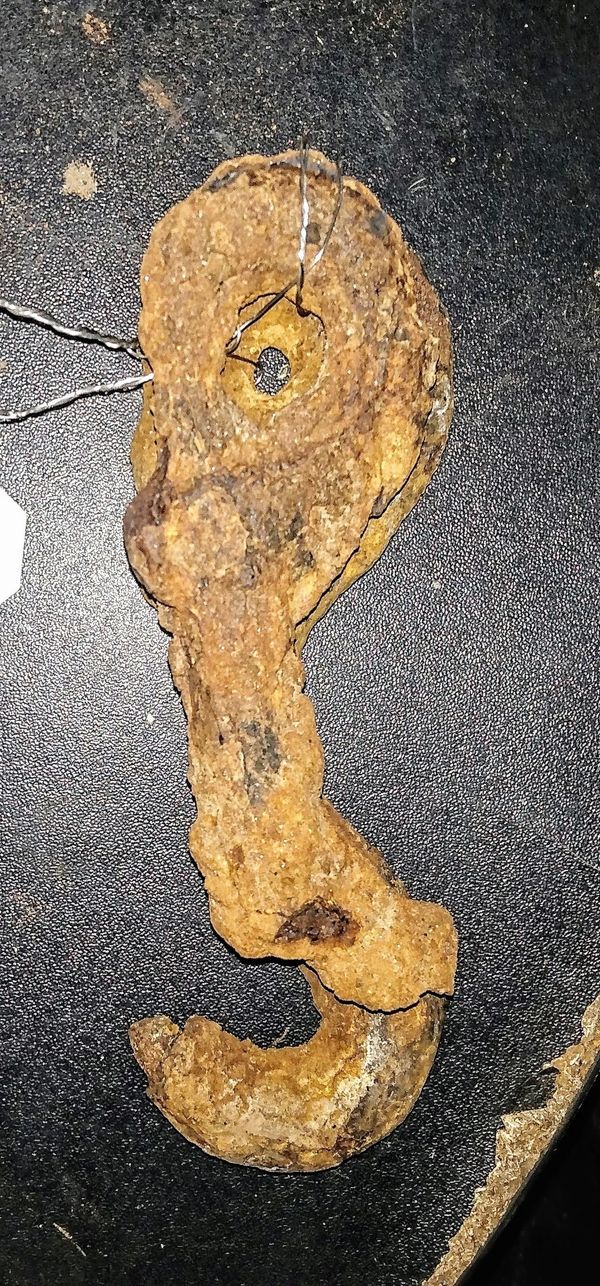Found in Lumberton and Mt Laurel, NJ