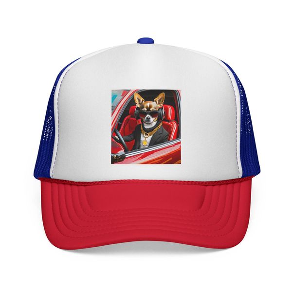 dog in sports car with bling hat