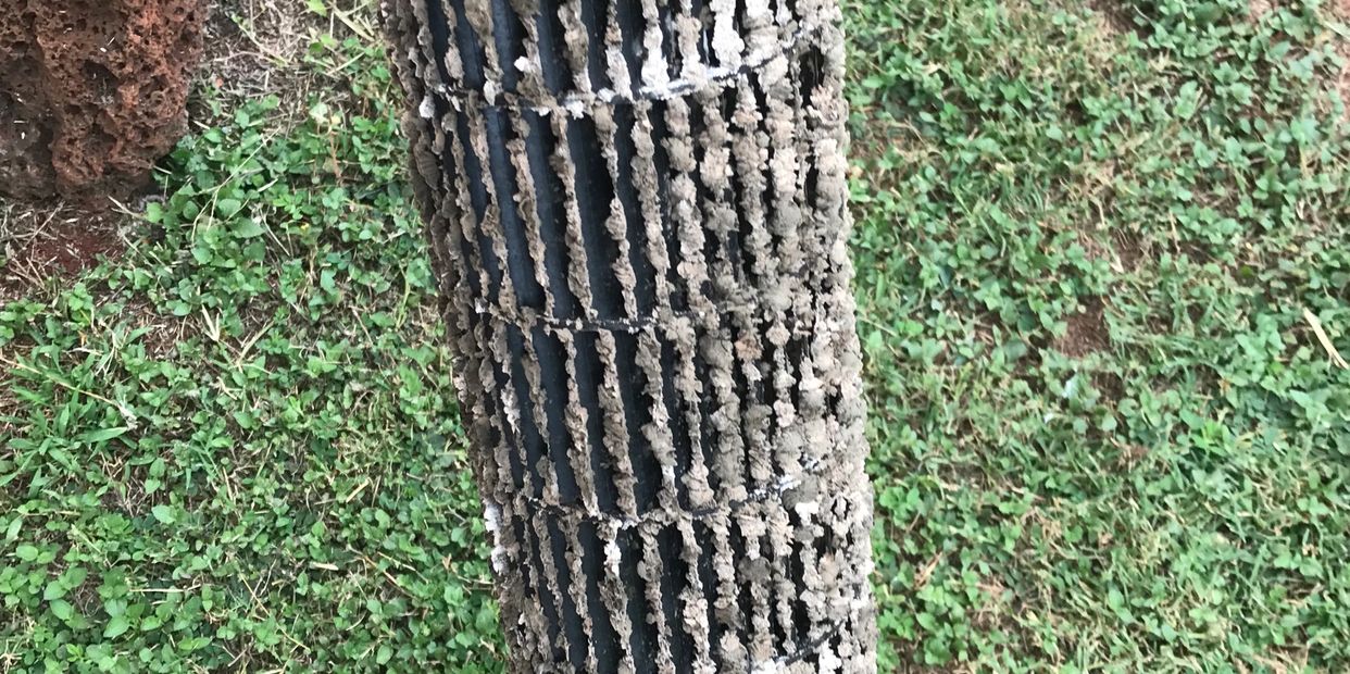 image11