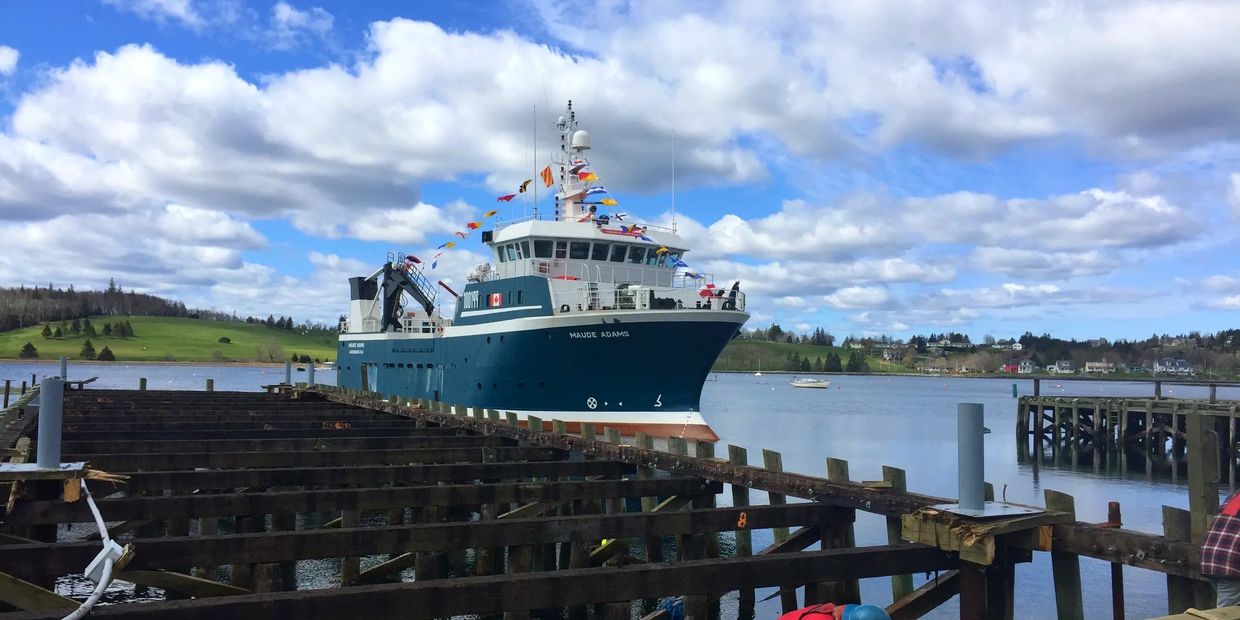 A wharf is stripped to its bones for repair in Lunenburg, NS