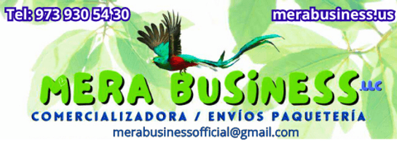 MERA BUSINESS LLC