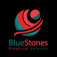BlueStones Financial Services Ltd.