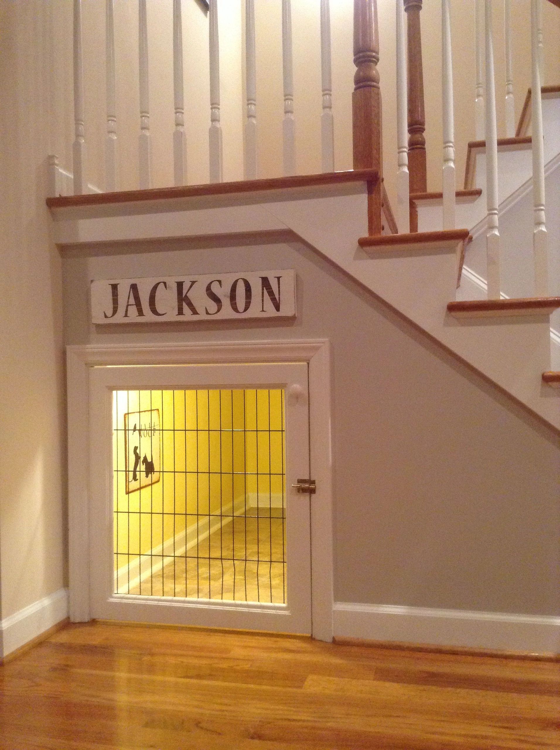 Under the stairs crate/room.