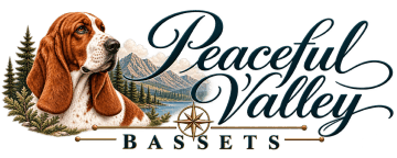 Peaceful Valley Bassets