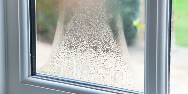 misted window