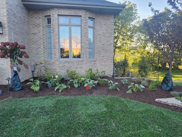 landscaping makeover